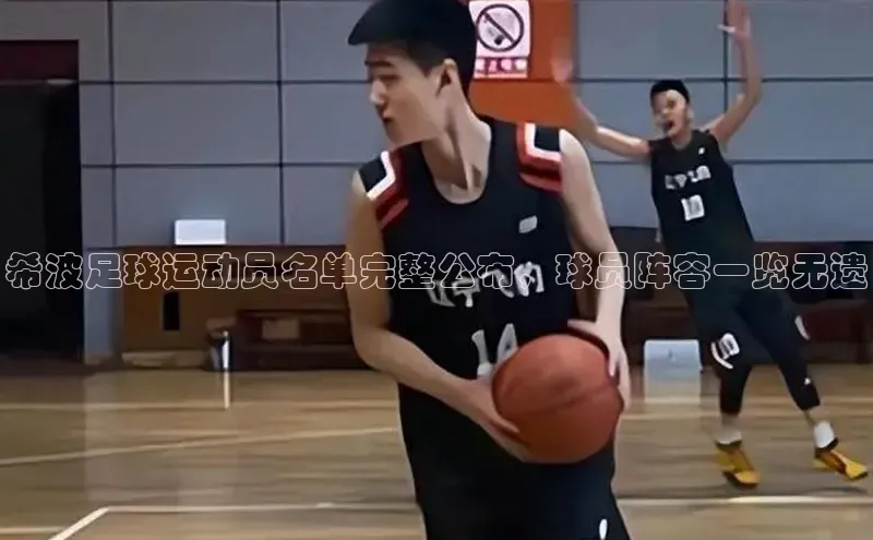 球速体育app下载爱慕股份希波足球运动员名单完整公布，球员阵容一览无遗