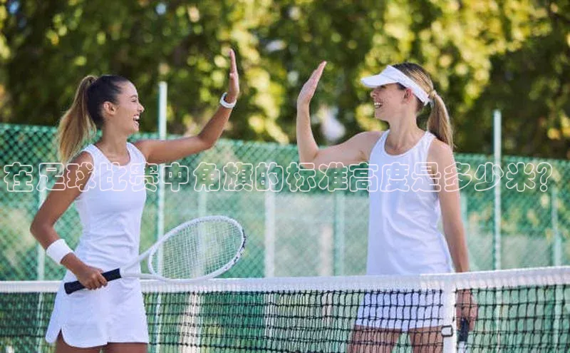 球速体育网页版登陆入口小度商城在足球比赛中角旗的标准高度是多少米？