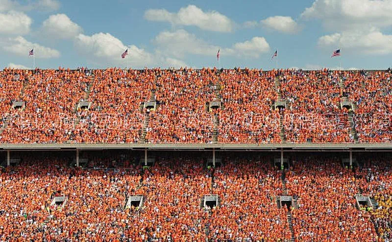 球速体育下载京东鼓舞人心的运动盛事：来自扶风县的精彩赛事推荐