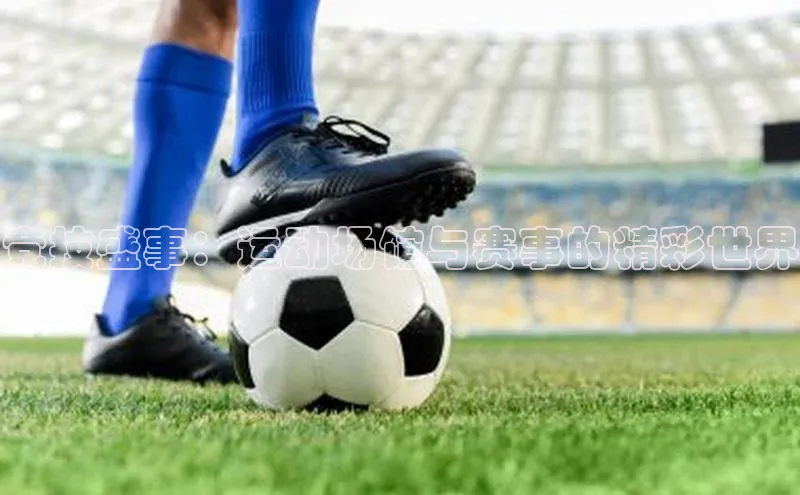 竞技盛事：运动场馆与赛事的精彩世界