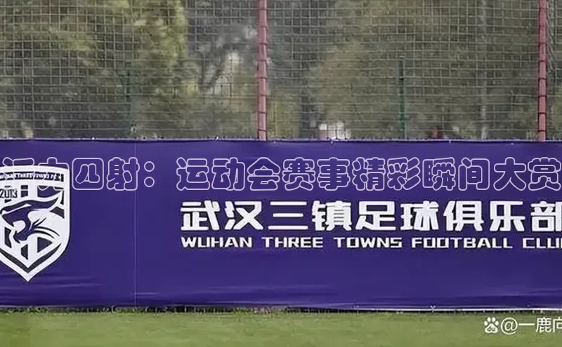 活力四射：运动会赛事精彩瞬间大赏