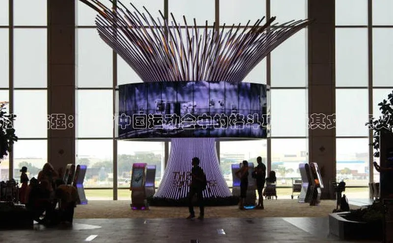 武艺高强：探讨中国运动会中的格斗项目及其文化意义