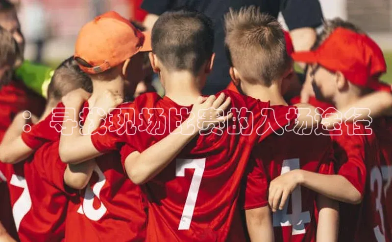 ：寻找现场比赛的入场途径