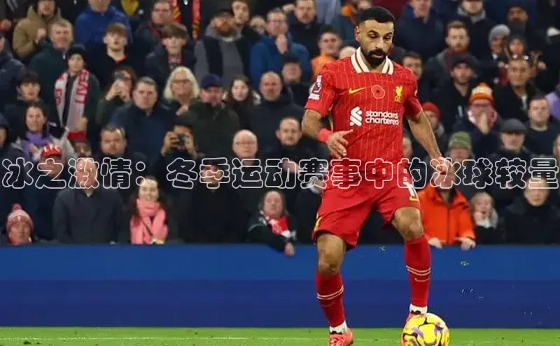 冰之激情：冬季运动赛事中的冰球较量