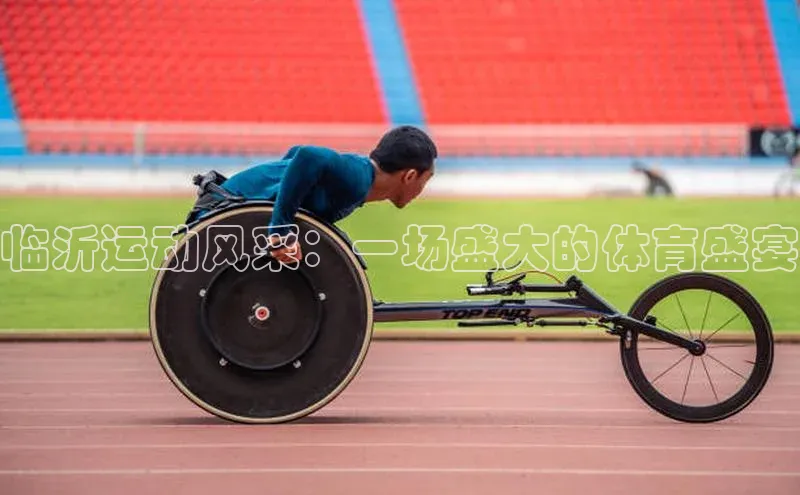 临沂运动风采：一场盛大的体育盛宴