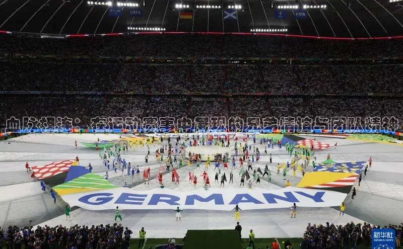 血脉相连：在运动赛事中展现的兄弟情谊与团队精神