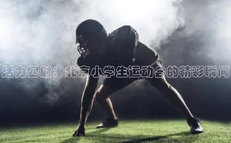 活力四射：北京小学生运动会的精彩瞬间