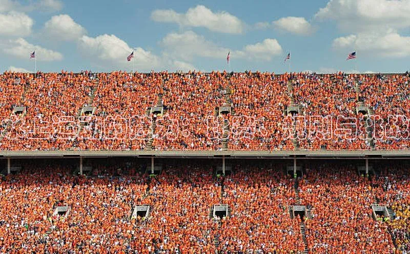 水上运动的魅力：比赛、规则与挑战