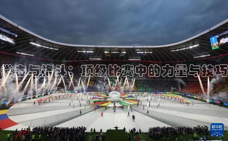 拳击与格斗：顶级比赛中的力量与技巧