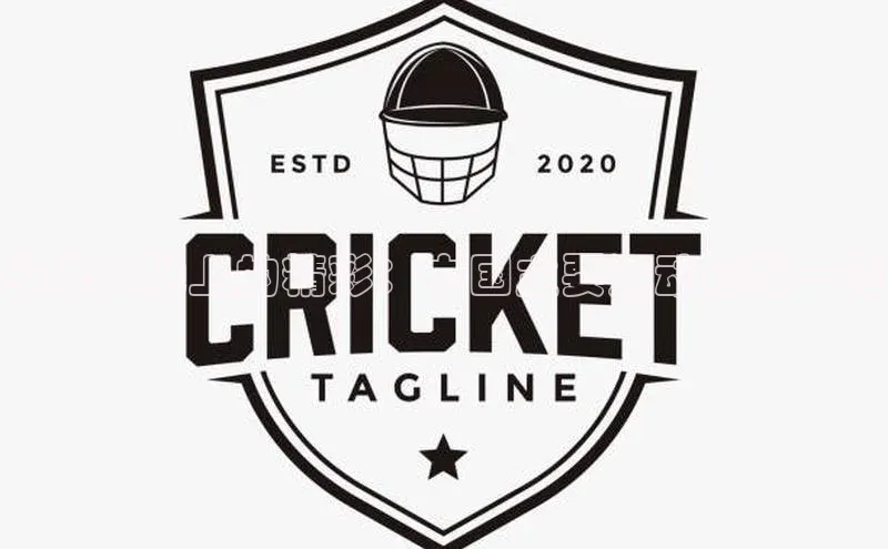 中华大地上的精彩：中国主要运动赛事一览