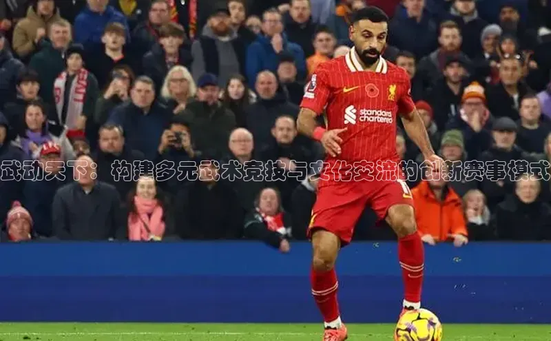 武动天下：构建多元武术竞技与文化交流的创新赛事模式