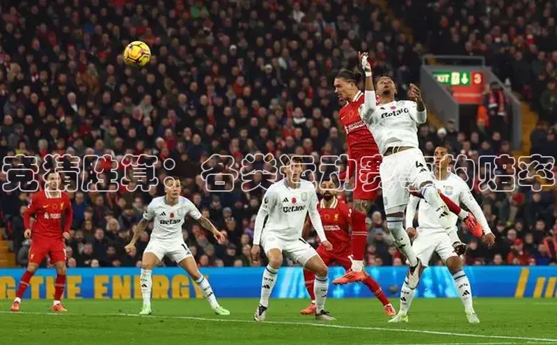 竞猜胜算：各类运动赛事的赔率