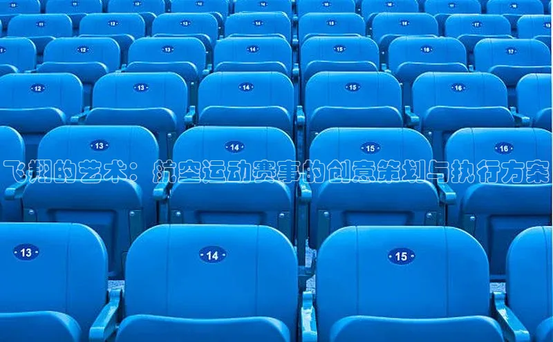 飞翔的艺术：航空运动赛事的创意策划与执行方案