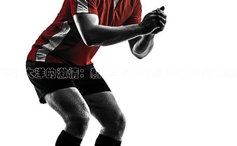 飞跃大洋的激情：新西兰运动赛事的魅力与传统