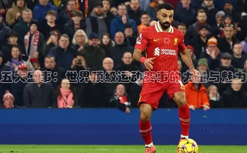 球速体育网页版登录入口