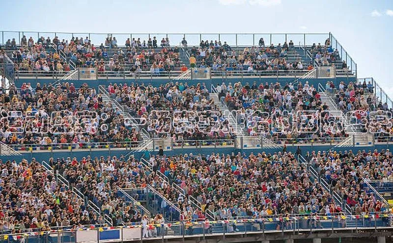 速球体育官方入口地址