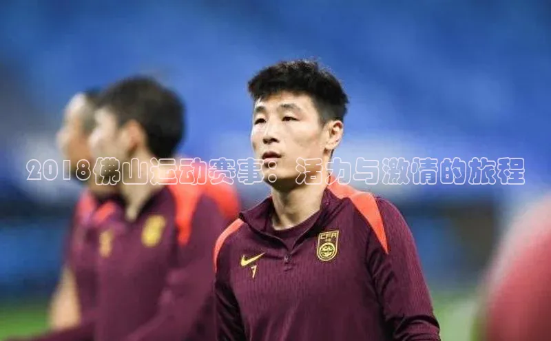 2018佛山运动赛事：活力与激情的旅程