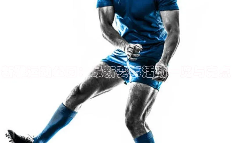 球速体育网页版登陆入口