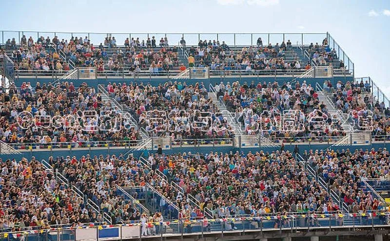 Qwen运动：竞技与文化的融合之道